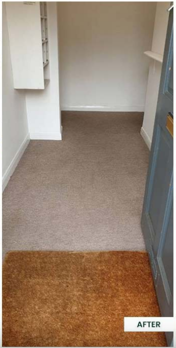 Carpet after HappyFeet cleaning — clean and stain-free
