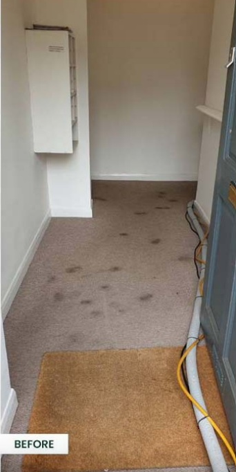 Carpet before HappyFeet cleaning — visibly stained