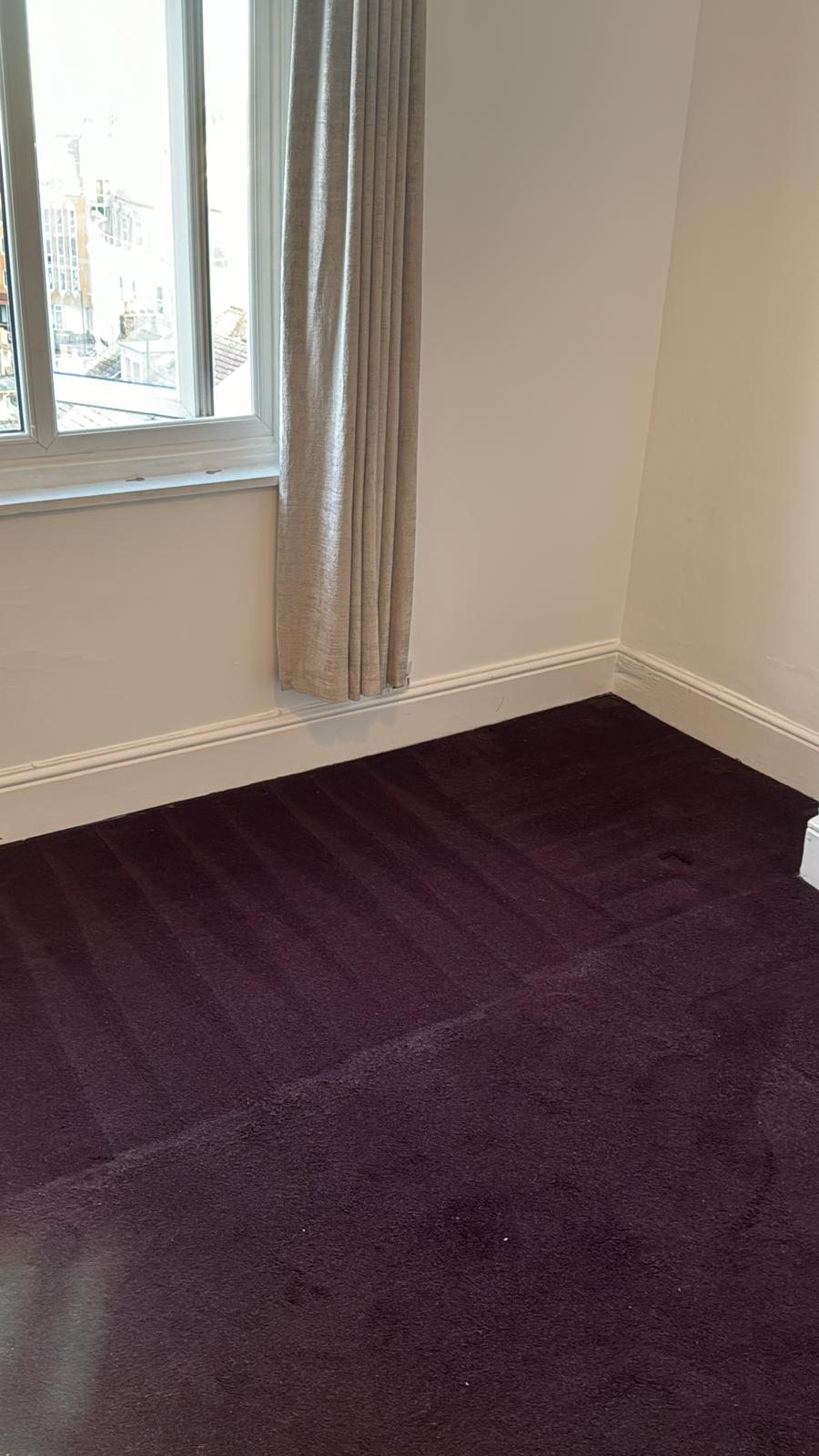 Freshly cleaned bedroom carpet by HappyFeet, showing crisp grooming lines