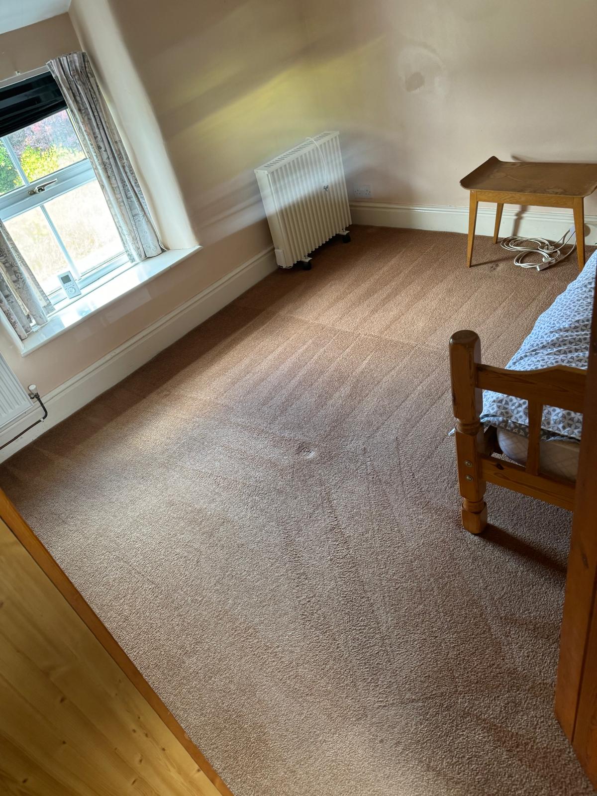 Freshly cleaned carpet by HappyFeet in a sunlit room, showing crisp grooming lines